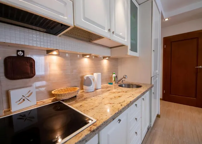 公寓 Victus Apartamenty, Liczi 索波特